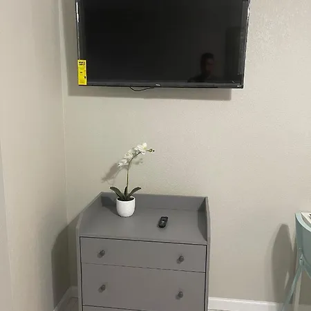 Adorable Suite In Tampa. Exterior foto