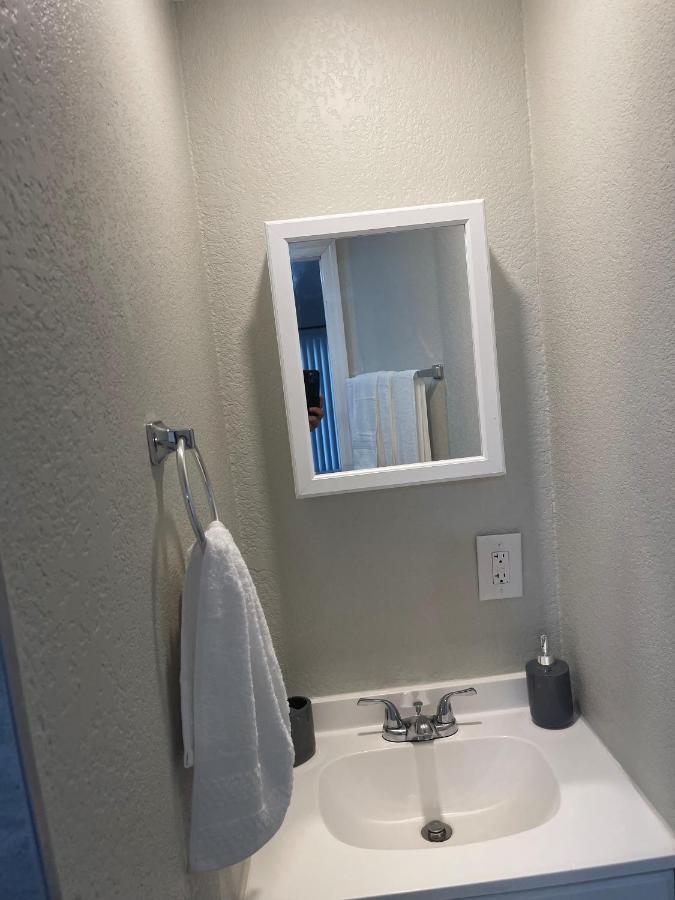 Adorable In Tampa. Holiday home Tampa